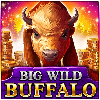 BigWild Buffalo